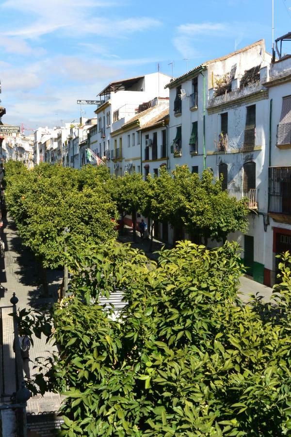 Casa Del Portillo-Centro Historico コルドバ エクステリア 写真